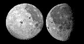 mond